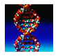 DNA